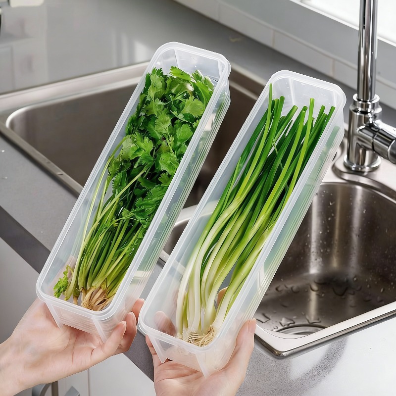 Food Storage Eggs - 1/2/4Pcs Green Onion Fresh-keeping Storage Box