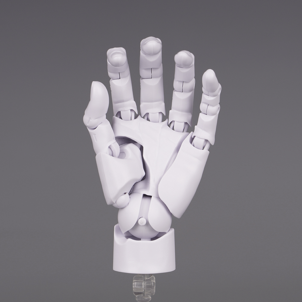 10.5cm Human Hand Model With M - огляд і ціна Food Storage Eggs