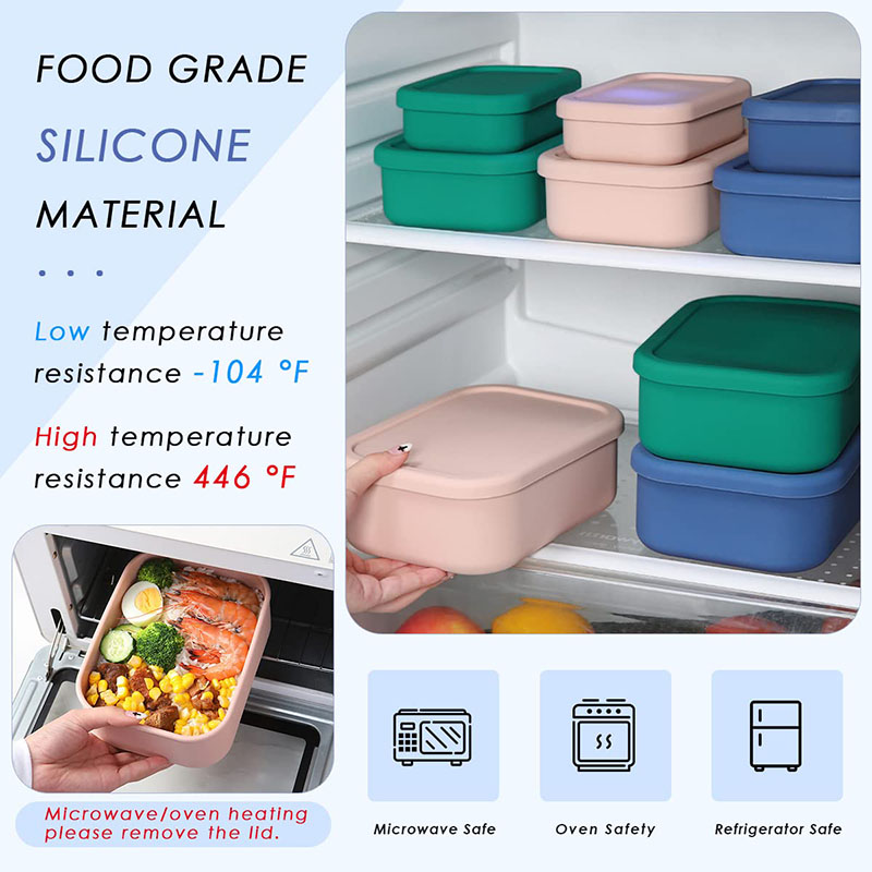 Leak-Resistant Bento Lunch Box - огляд і ціна Food Storage Silicone